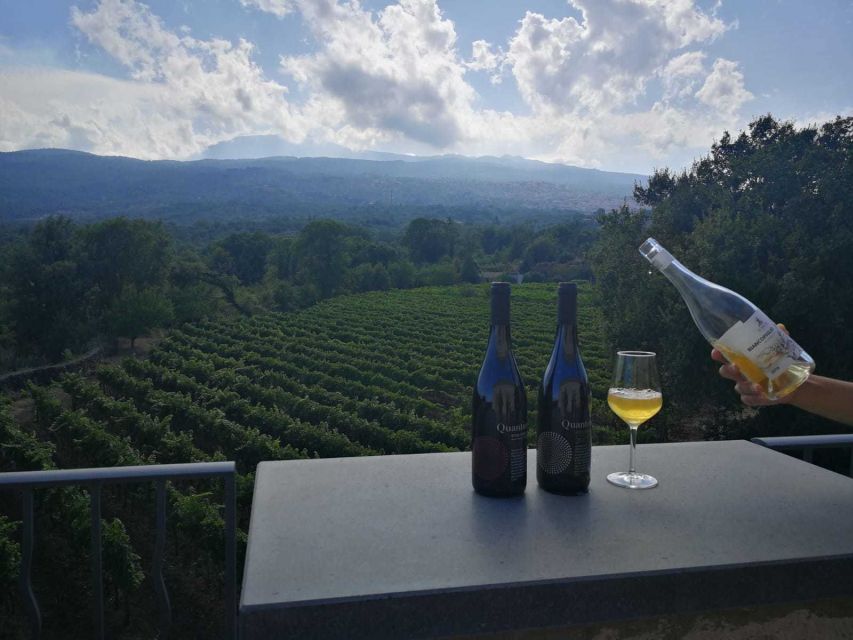 From Taormina: Etna Wineries Small Group Tour - Key Points
