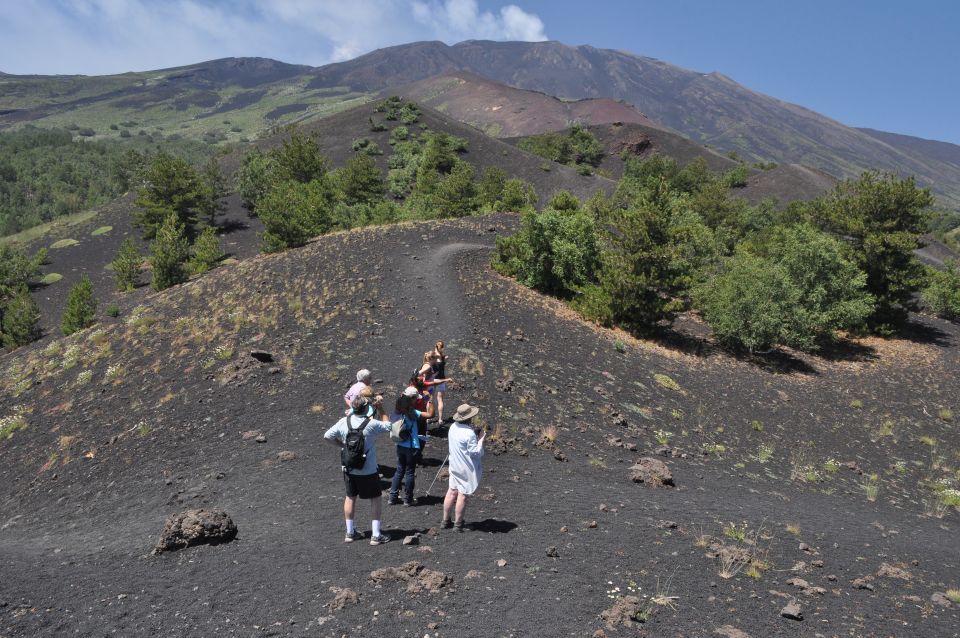 From Taormina: Full-Day Etna, Wine & Alcantara Canyons Tour - Pickup Arrangements