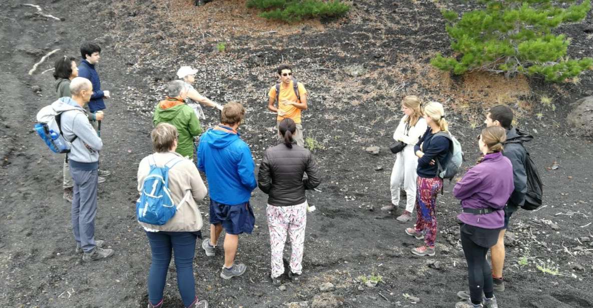 From Taormina: Full-Day Etna, Wine & Alcantara Canyons Tour - Hiking Etnas Craters
