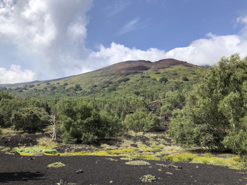 From Taormina: Full-Day Etna, Wine & Alcantara Canyons Tour - Frequently Asked Questions