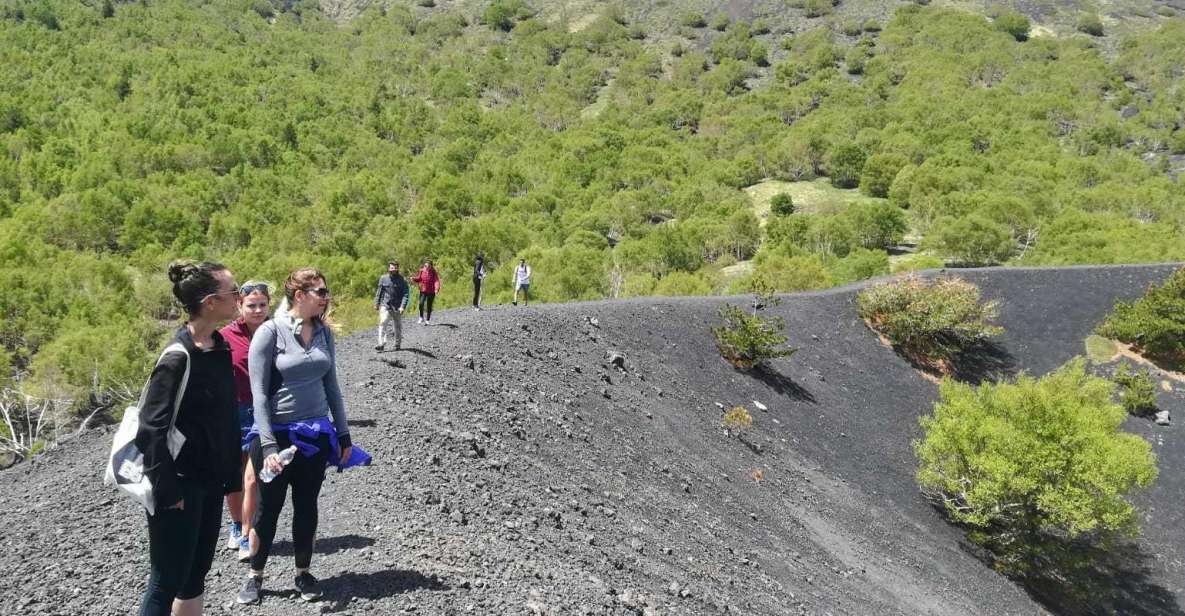 From Taormina: Half-Day Mount Etna Morning Trek - Included in the Tour