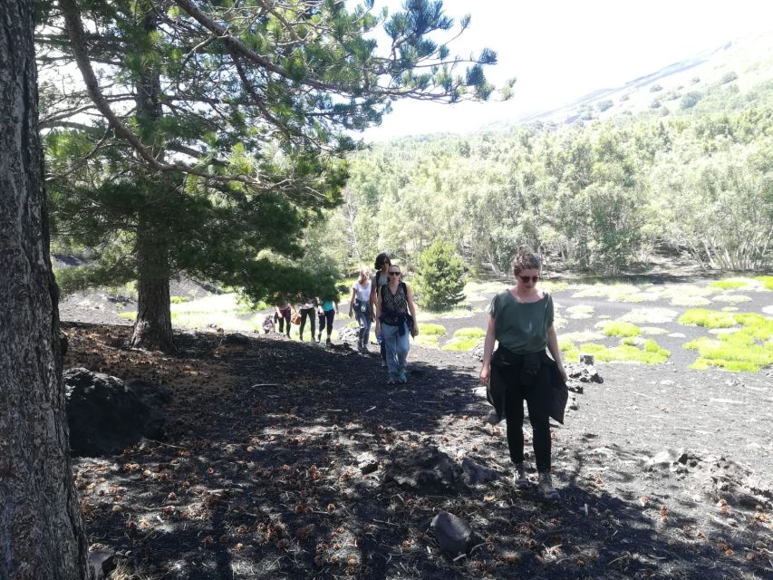 From Taormina: Half-Day Mount Etna Morning Trek - Positive Reviews Overview