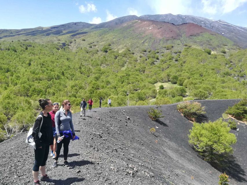 From Taormina: Half-Day Mount Etna Morning Trek - Wine Tasting at Etna Winery