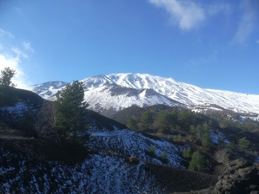 From Taormina: Half-Day Mount Etna Morning Trek - Frequently Asked Questions