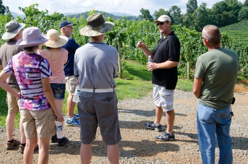 From Taormina: Private 3 Etna Wineries with Food & Wine - Key Points