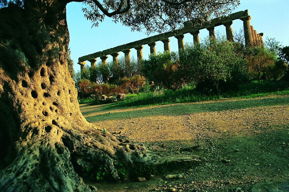 From Taormina: Valley of The Temples & Piazza Armerina Tour - Booking Information