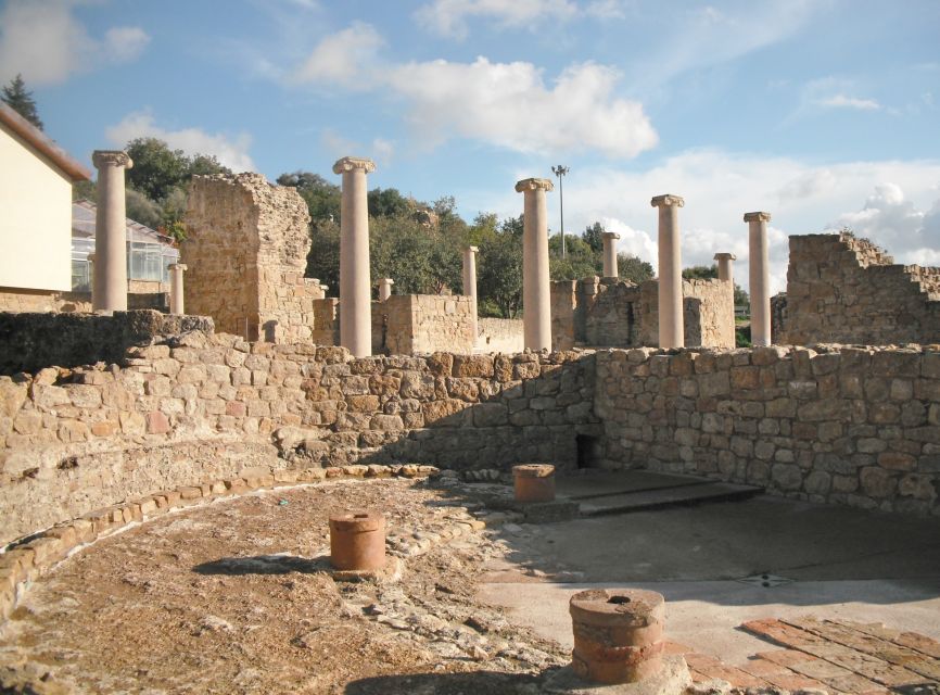 From Taormina: Valley of The Temples & Piazza Armerina Tour - What to Expect