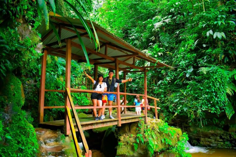 From Tarapoto: Ahuashiyacu Waterfall Half Day Tour - Discovering Ahuashiyacu Waterfall