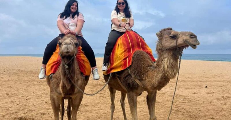 From Tarifa: 2 Days 1 Night to Chefchaouen All Inclusive - Good To Know