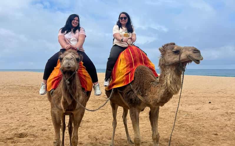From Tarifa: 2 Days 1 Night to Chefchaouen All Inclusive - Itinerary Highlights