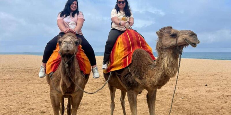 From Tarifa: 2 Days 1 Night to Chefchaouen All Inclusive - Inclusions