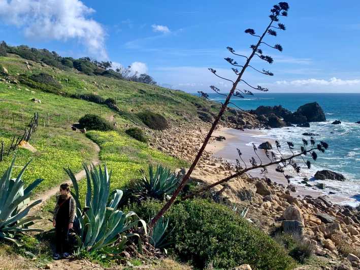 From Tarifa: Guided Hiking Tour in the Strait Natural Park - Local Insights and Cultural Significance