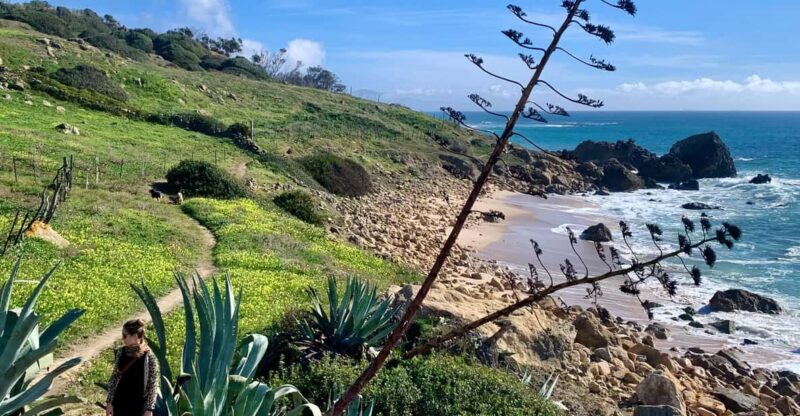 From Tarifa: Guided Hiking Tour in the Strait Natural Park - Exploring the Ancient Roman Ruins of Baelo Claudia