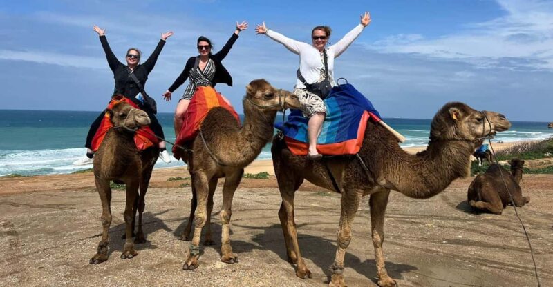 From Tarifa: Tangier Full Day Trip With Ferry Tickets - Experience Highlights