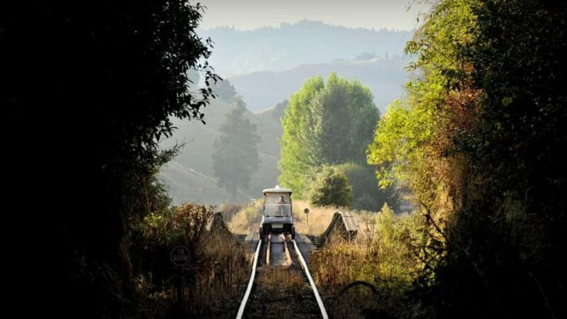 From Taumarunui: The Republic Rail Cart Adventure - The Experience of Driving the Rail Cart