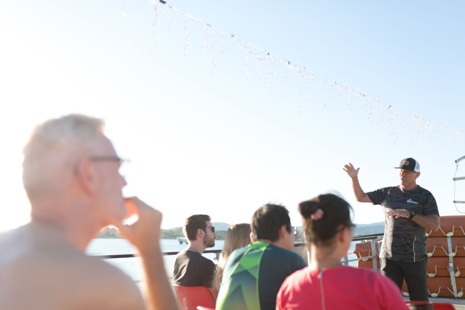 From Tauranga: Dolphin and Wildlife Cruise - Key Points
