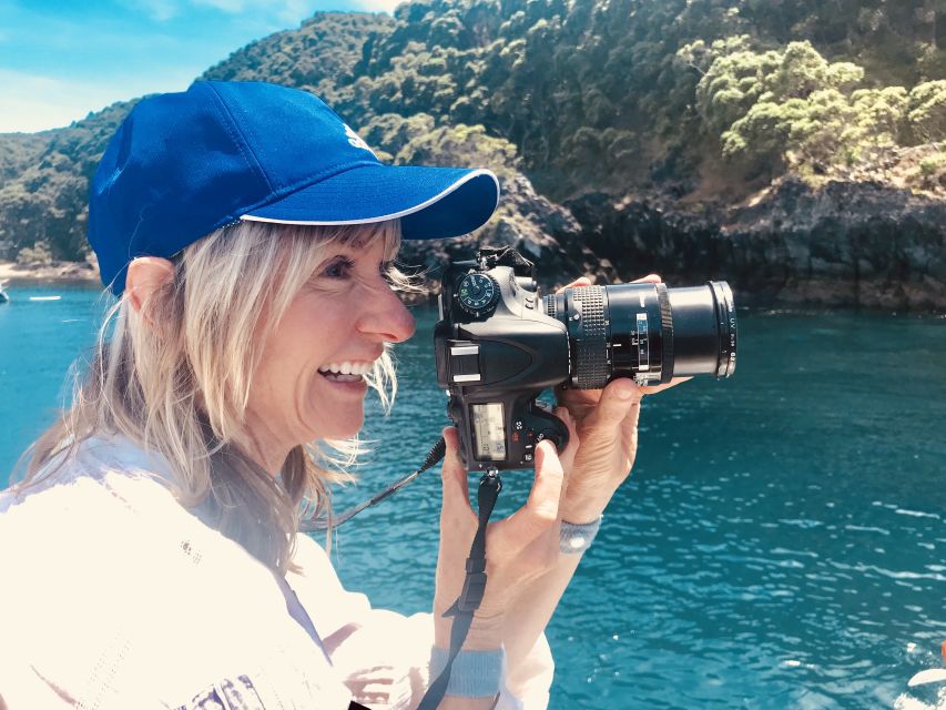 From Tauranga: Dolphin and Wildlife Cruise - Inclusions on the Cruise