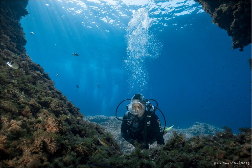 From Tavolara Baptism of the Sea/Scuba Experience - Diving Safety Theoretical Session
