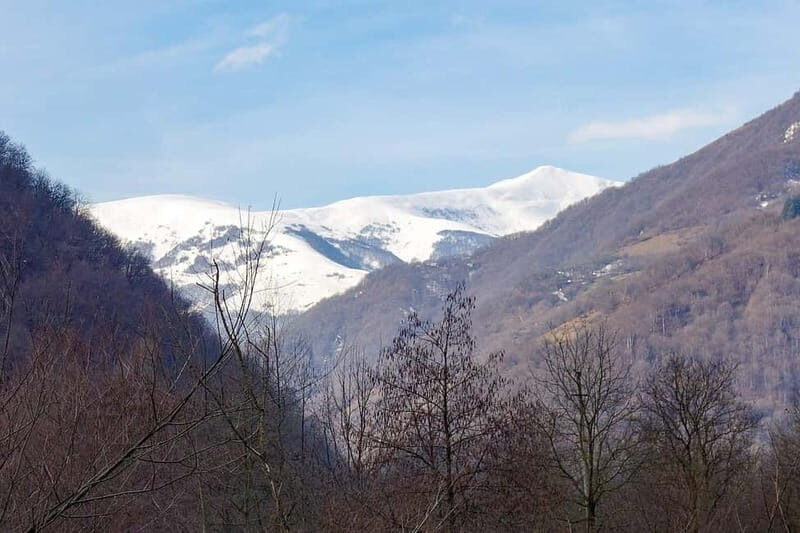 From Tbilisi: Ananuri, Gudauri, and Kazbegi Day Trip - Final Thoughts