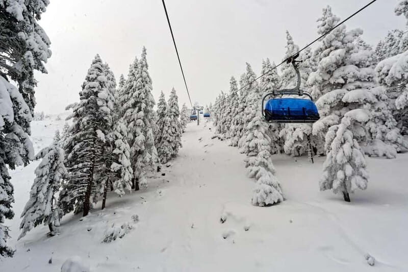 From Tbilisi: Borjomi and Bakuriani Ski Resort Private Tour - An In-Depth Look at the Tour Experience