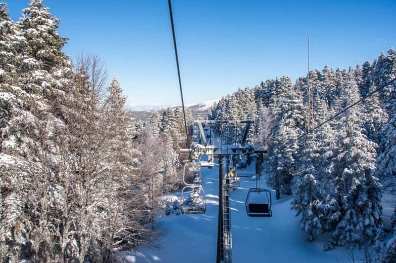 From Tbilisi: Borjomi and Bakuriani Ski Resort Private Tour - Authentic Reviews and Traveler Insights
