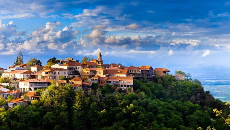 From Tbilisi: Kakheti Day Trip with Wine Tasting & Lunch - The Sum Up