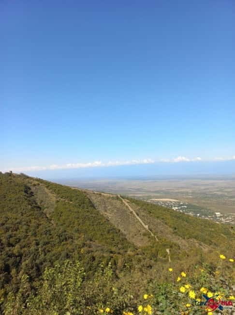 From Tbilisi: Kakheti Day Trip with Wine Tasting - What’s Included, What’s Not