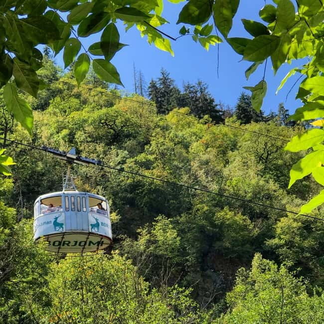 From Tbilisi: Vardzia, Rabati, and Borjomi Private Tour - Final Thoughts: Who Is This Tour For?