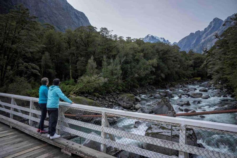 From Te Anau: Milford Sound Coach, Cruise, and Walks - An In-Depth Look at the Milford Sound Experience