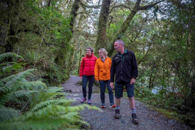 From Te Anau: Milford Sound Coach, Cruise, and Walks - Final Word