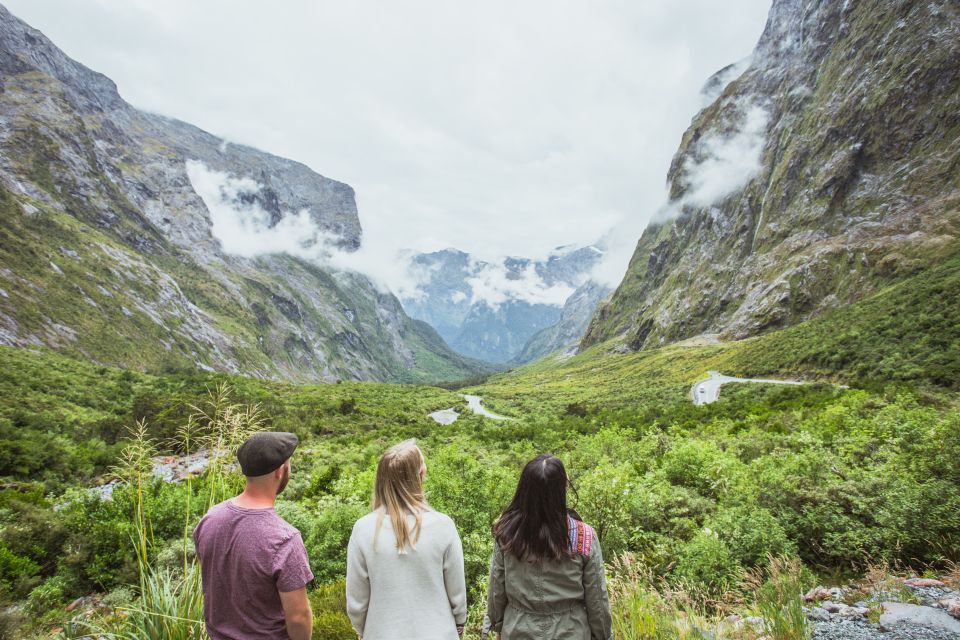 From Te Anau: Milford Sound Coach Tour and Cruise - Experience Highlights