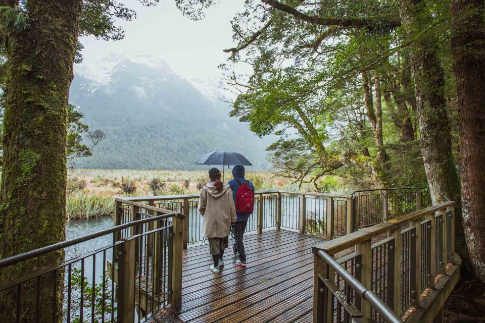 From Te Anau: Milford Sound Coach Tour and Cruise - Frequently Asked Questions