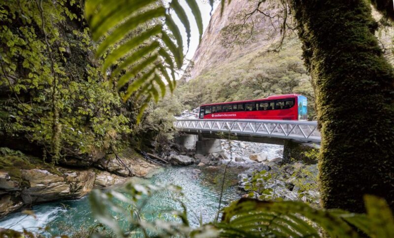 From Te Anau: Milford Sound Premium Bus Tour and Cruise - Practical Details and Tips