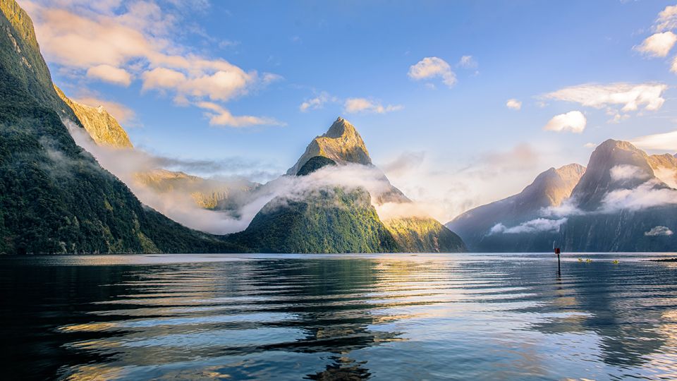 From Te Anau: Milford Sound Tour With Cruise and Lunch - Customer Reviews
