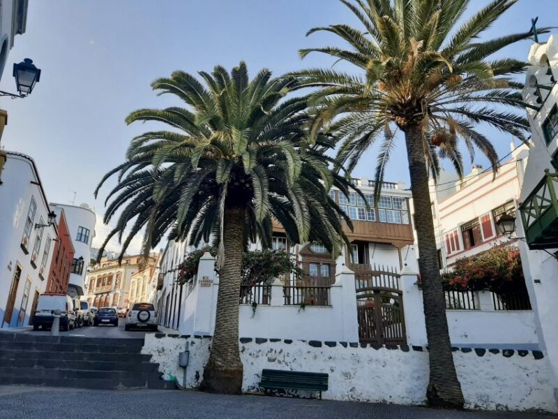 From Tenerife: Day Trip to La Palma Volcanic Landscapes - Itinerary and Activities