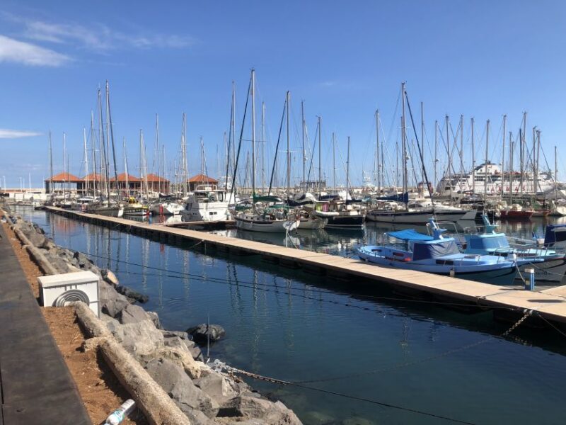 From Tenerife: Guided Tour to La Gomera With Ferry Ticket - Included Services