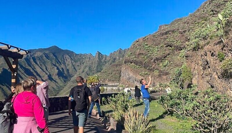 From Tenerife: La Gomera Day Trip With Guide - Language and Guide Information