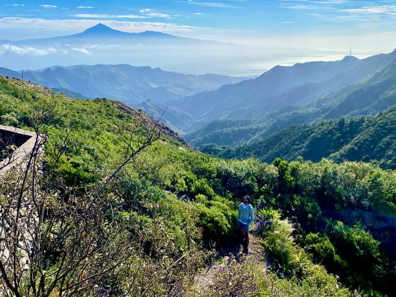 From Tenerife South: La Gomera Full-Day Trip with Transfers - Final Thoughts