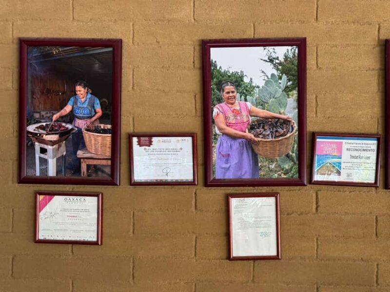 From Teotitlán del Valle - Traditional Cooking Class - Key Points