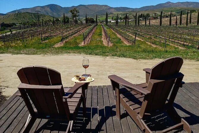 From the Border Valle de Guadalupe Private Wine Tour - Key Points