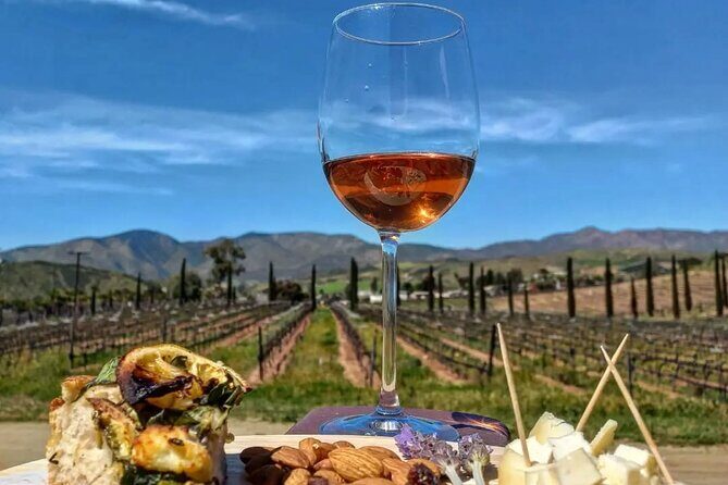 From the Border Valle de Guadalupe Private Wine Tour - Discovering Valle de Guadalupe: A Closer Look