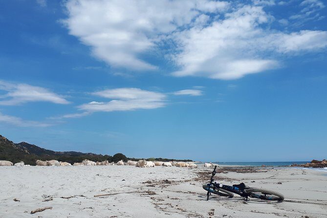 From the hills to Oasi Biderosa & Capo Comino with Electric Mountain Bikes - Who Will Love This Tour?