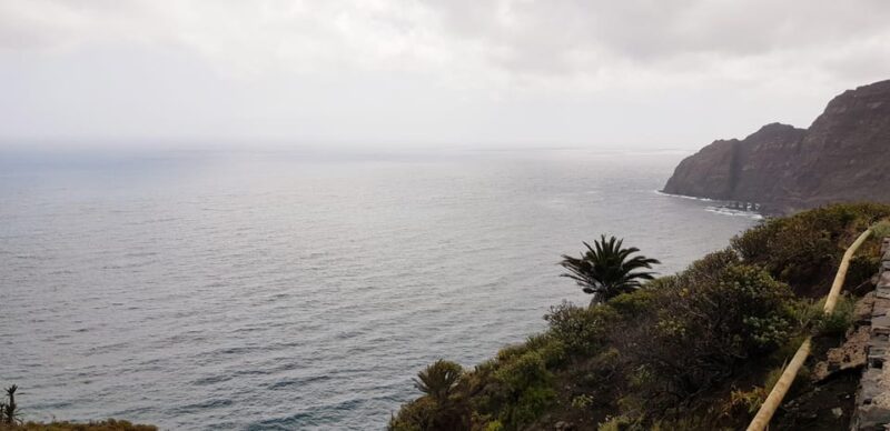 From the South of Tenerife : La Gomera Full Day Trip - Included Amenities