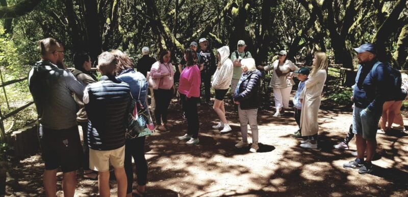From the South of Tenerife : La Gomera Full Day Trip - Participant Information