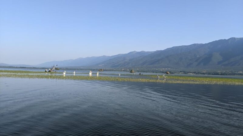 From Thessaloniki: Lake Kerkini, Boat Ride & Winery Day Tour - An In-Depth Look at the Experience