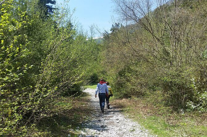 From Thessaloniki: Olympus and Dion History and Nature Day Trip - Exploring Dion: The Gateway to Macedonian History