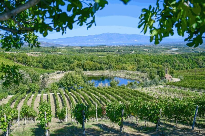 From Thessaloniki: Pella-Edessa-Naousa wine tasting - Naousa: Wine Tasting in Macedonia’s Wine Capital