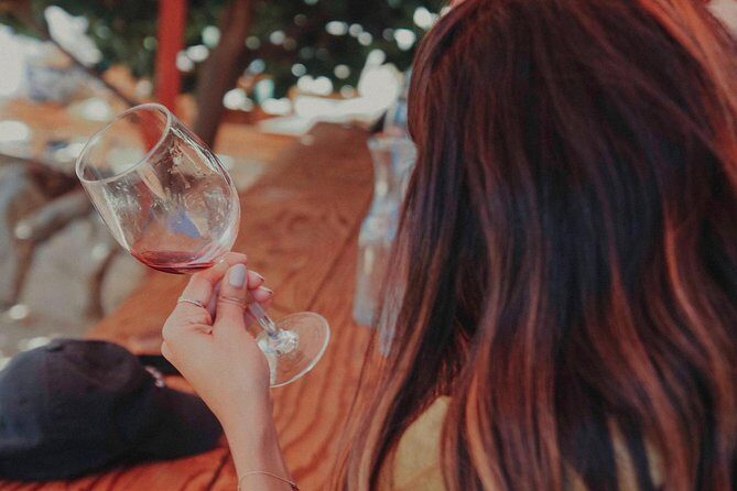 From Tijuana to Valle de Guadalupe private tour 6 passengers - The Sum Up