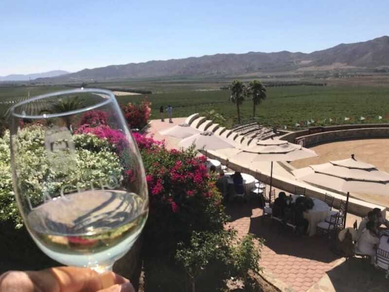 From Tijuana: Valle de Guadalupe Private Winery Tour - Final Thoughts: Who Will Love This Tour?