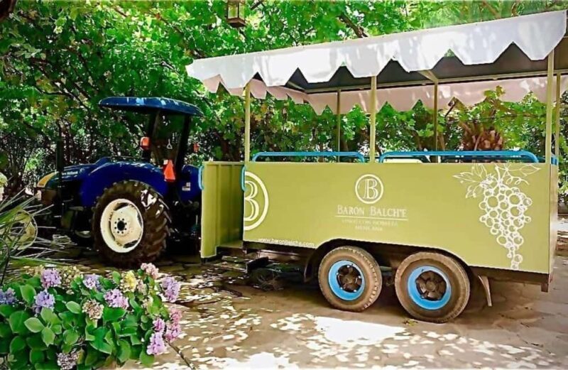 From Tijuana: Valle de Guadalupe Shared Winery Tour - An Authentic Tasting of Valle de Guadalupe